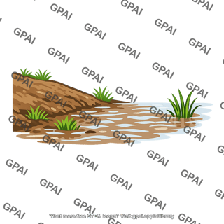 River bank flooded