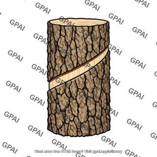 Tree bark slashed
