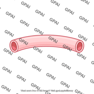 Capillary wall
