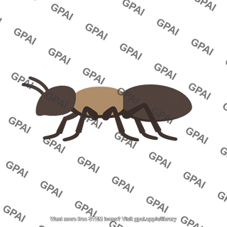 Insect body plan six legged