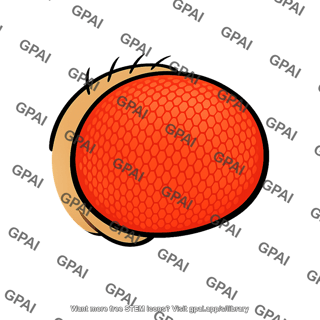 Eye drosophila cinnabar