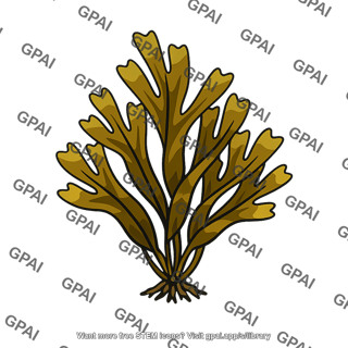 Seaweed brown alga