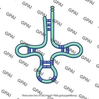 Transfer rna