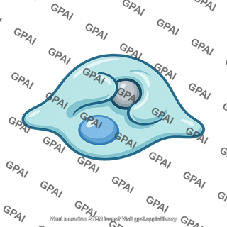 Phagocytosis