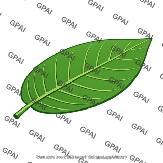 Leaf large