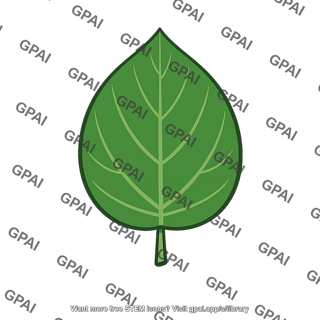 Source leaf