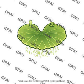 Gametophyte bisexual