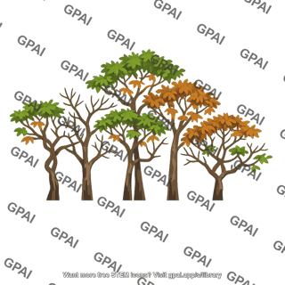 Tropical dry forest