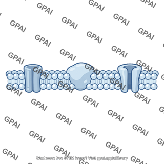 Membrane with embedded proteins