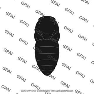 Insect pupa