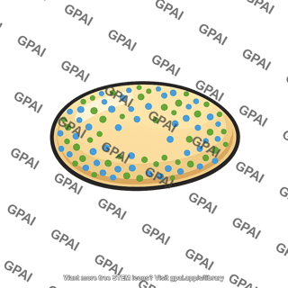 Seed inoculated