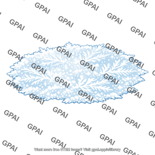 Frost