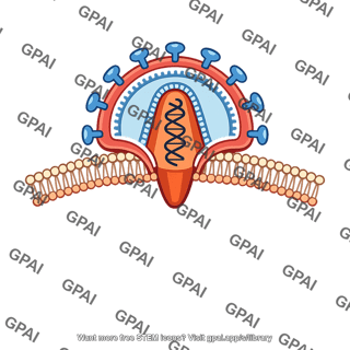 Hiv entering cell