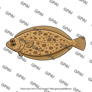 Flounder