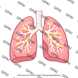 Cystic fibrosis lung