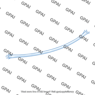 Plastic fiber