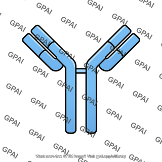 Immunoglobulin igg