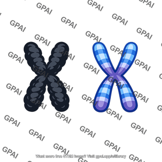 X inactivation