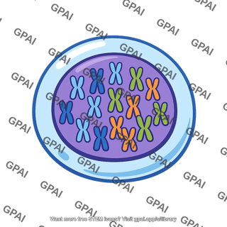 Allopolyploid