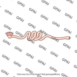 Earthworm metanephridium