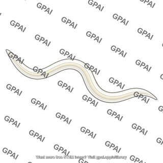 Nematode c elegans