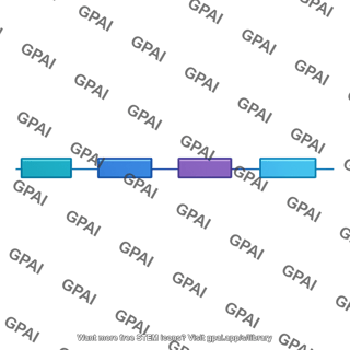 Gene map segment