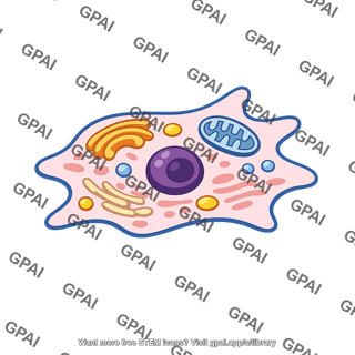 Fully differentiated cell