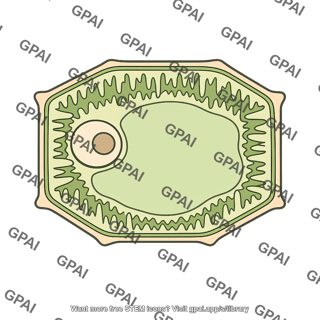 Plant transfer cell