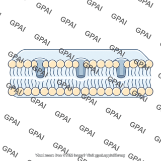 Selectively permeable membrane