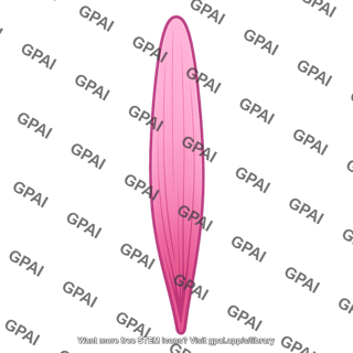 Petal long