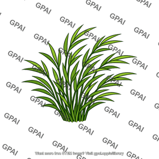 Plant coastal