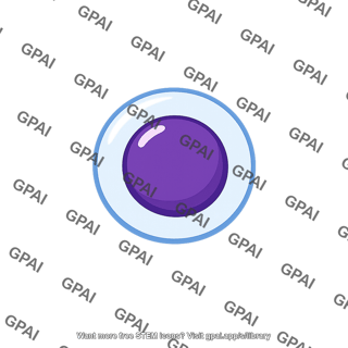 Bone marrow stem cell