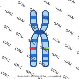 Allele locus marker