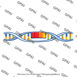 Dna gene highlight