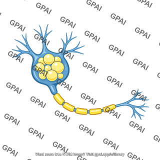 Brain cell lipid accumulated