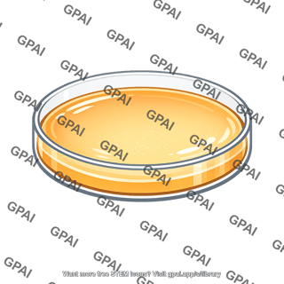 Medium maltose