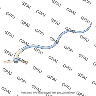 Bacterial flagellum with hook