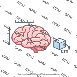 Brain volume measurement