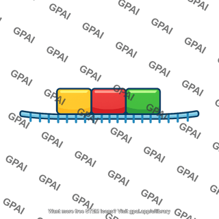 Rna codon