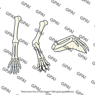 Homologous structure