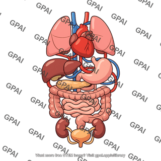 Organ system