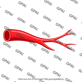 Branch vessel