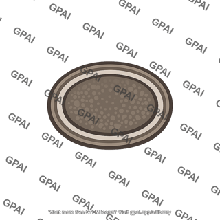 Spore thick walled