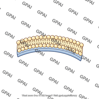 Membrane segment