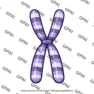 Condensed chromosome