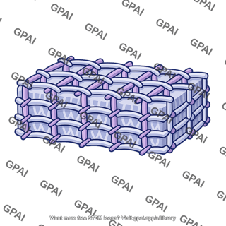 Bacterial cell wall peptidoglycan