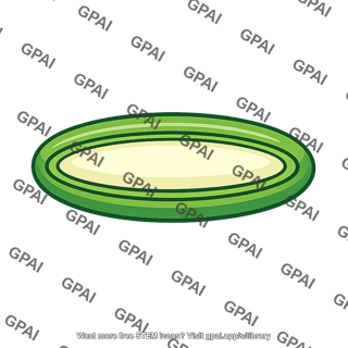 Thylakoid space