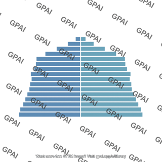 Age structure pyramid even