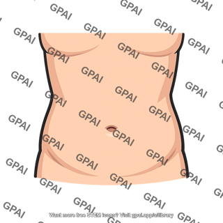 Human belly