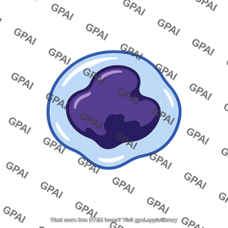 Atypical lymphocyte